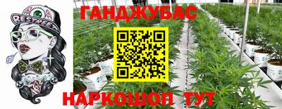 эйфоретик Ачхой-Мартан